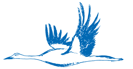 Storch